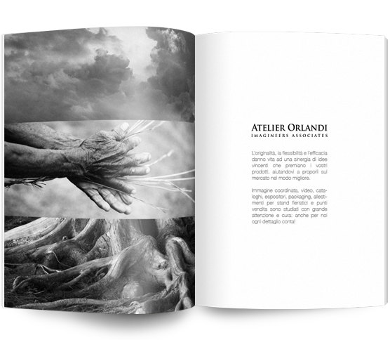 portfolio atelier orlandi icon
